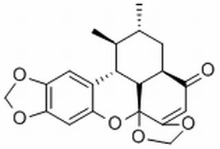 Sauchinone