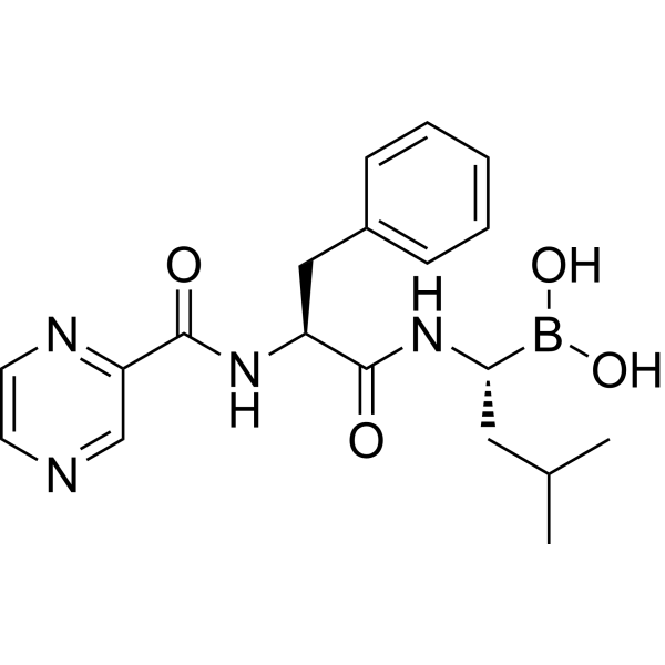 Bortezomib (PS-341)