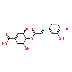 4-O-Caffeoylshikimic acid