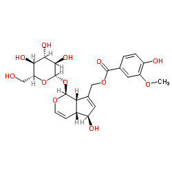 10-O-Vanilloylaucubin