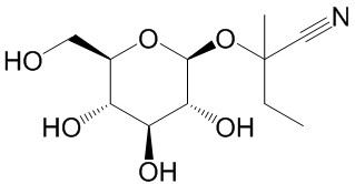 (2RS)-Lotaustralin