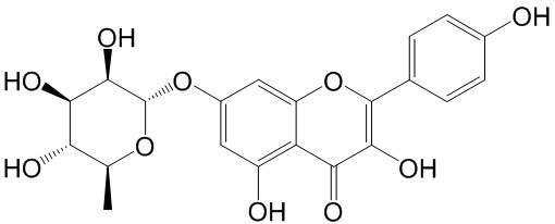 Kaempferol 7-O-rhamnoside