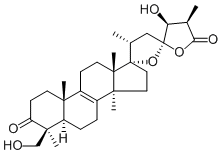 Scillascillone
