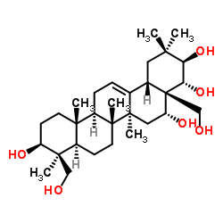Protoescigenin