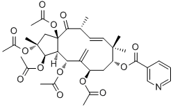 Jatrophane I