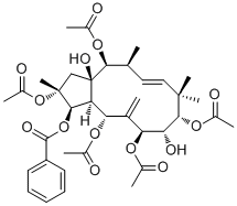Jatrophane VI
