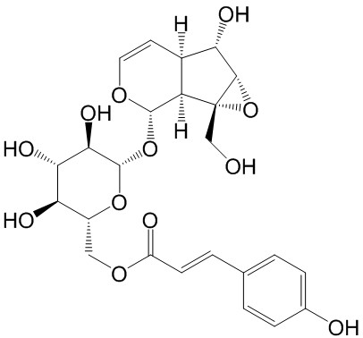 Picroside IV