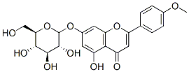 Leptomerine