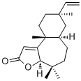 Fischeria A