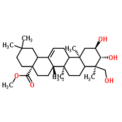 Bayogenin methyl ester