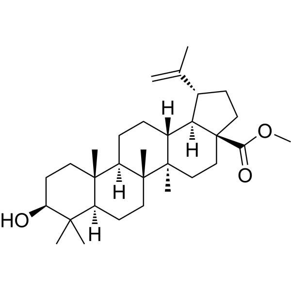 Betulinic acid methyl ester