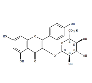 Kaempferol-3-beta-O-glucuronide