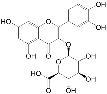 Quercetin-3-O-glucuronide