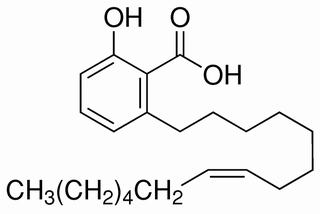 Ginkgolic acid C15:1