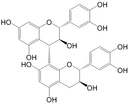 Procyanidin B3