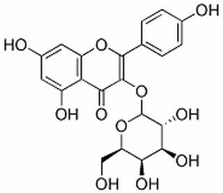 Kaempferol-3-O-galactoside