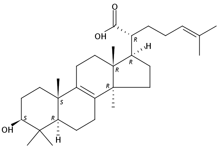 Trametenolic acid