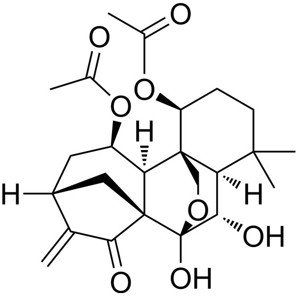 Shikokianin