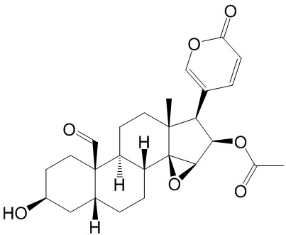 19-Oxocinobufagin
