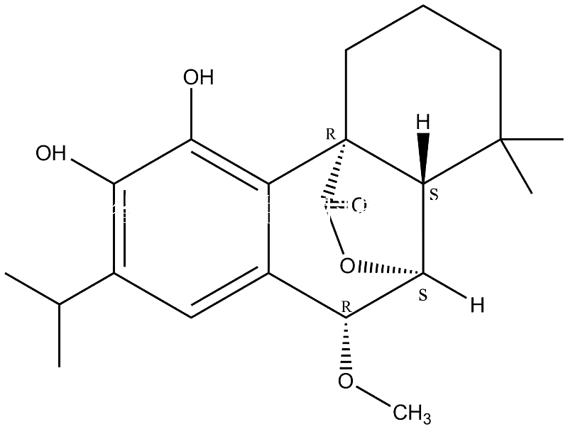 7beta-Methoxyrosmanol