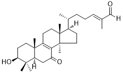 Lucidal