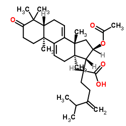 16-O-Acetylpolyporenic acid C