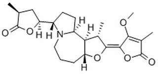 Protostemonine