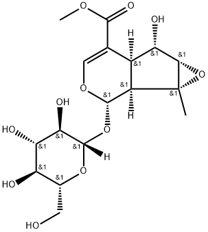 Phlorigidoside C