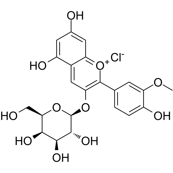 Peonidin-3-O-galactoside chloride