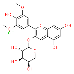 Malvidin-3-O-arabinoside chloride