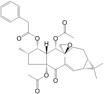 Euphorbiasteroid