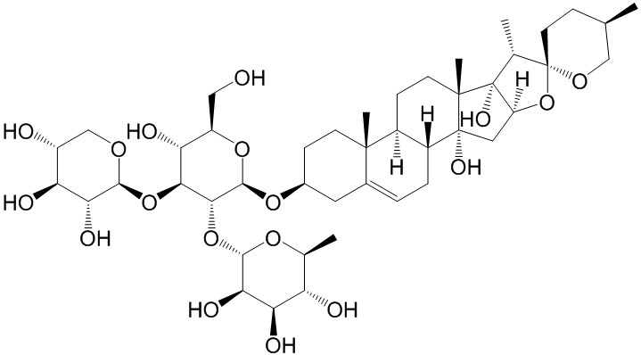 Cixiophiopogon A