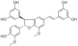 Shegansu B