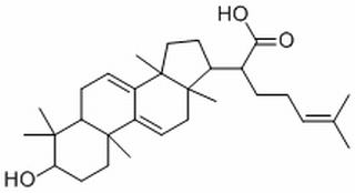 Dehydrotrametenolic acid