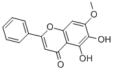 Negletein