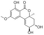 Altenuene