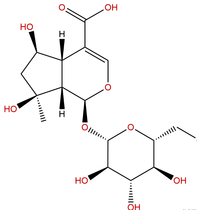 Shanzhiside