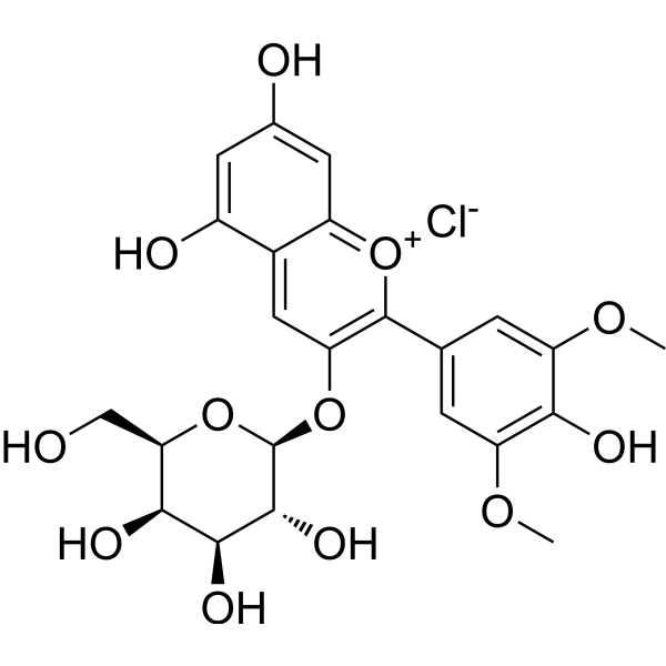 Malvidin-3-O-galactoside chloride