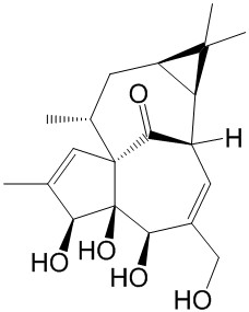 Ingenol