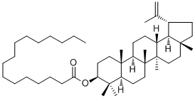 Lupeol palmitate