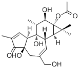 Phorbol 13-acetate