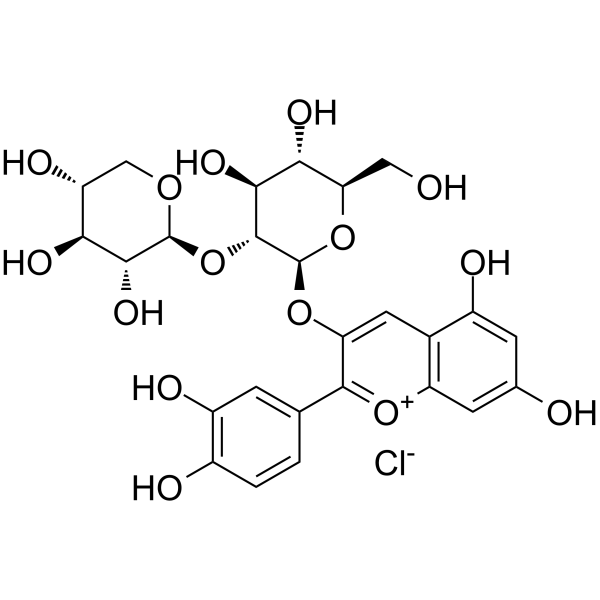 Cyanidin-3-O-sambubioside chloride