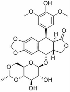 Etoposide