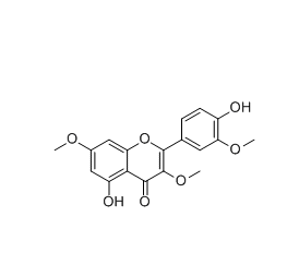 Pachypodol