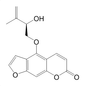 Pangelin