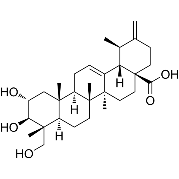 Actinidic acid