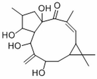 7-beta-Hydroxylathyrol