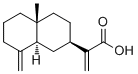 beta-Costic acid