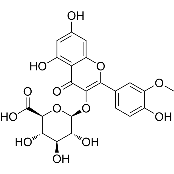 Isorhamnetin 3-glucuronide