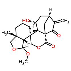 6-epi-Augustifolin